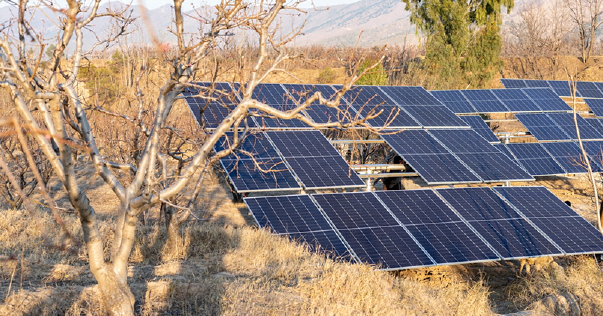 Pakistan’s Solar Leapfrog