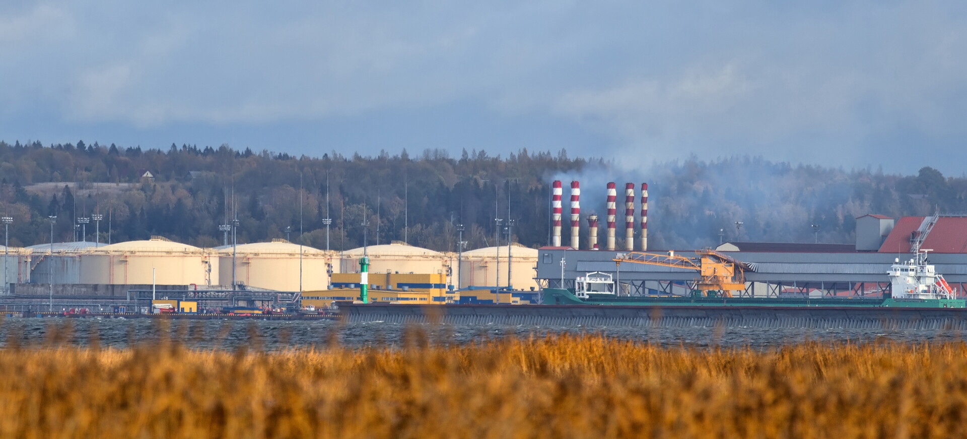 Ukrainian Drone Strike Hits Ust-Luga Oil Terminal